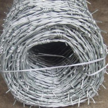 Hot Sale Razor Barbed Wire Mesh Fence